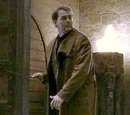 Auror