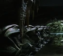 Chamber of Secrets