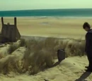 Funeral of Dobby