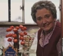 Honeydukes Express