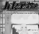 Special Chapters