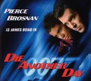 Die Another Day (novelisation)