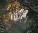 Tree of Souls
