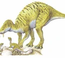 Maiasaura