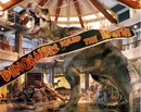 T-rex-jurassic-park-1-.jpg
