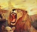 Lions