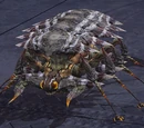 Pest