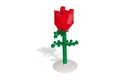852786 Rose.jpg