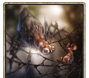 Arachnowl