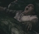 If A Tree Falls
