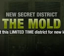 The Mold