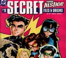 Young Justice Secret Files and Origins Vol 1 1