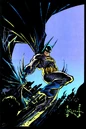 Batman 0529.jpg