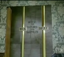 Batpole