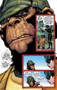 Detective Chimp 002.jpg