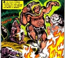 Bear Tribe