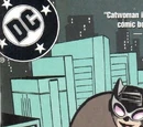 Catwoman Vol 3 23