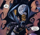Bruce Wayne (Book of the Dead)