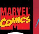 The Punisher War Zone Vol 1 30