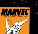 Silver Surfer Vol 3 29