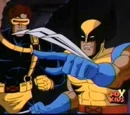 James Howlett (Marvel Animated Universe)