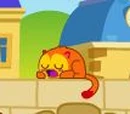 Purr Fection