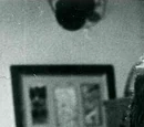 Rudolf Nureyev
