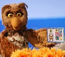 Athena the Owl