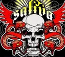 Saliva
