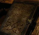 Book of Incantations