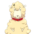 PUPI