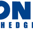 Sonic the Hedgehog (series)