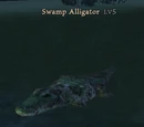 Swamp Alligator