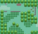 Hoenn Route 102