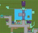 Violet City