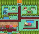 Fuchsia City
