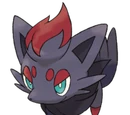 Zorua