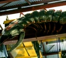 Arthropleura