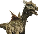 Dracorex