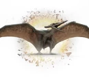 Pteranodon