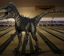 Raptor (Primeval)