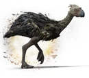Terror Bird