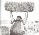 Haystacks Calhoun