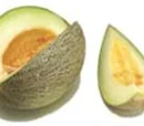 Sharlyn melon