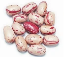 Cranberry bean