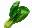Baby bok choy