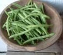 Green and Gold Bean Salad