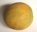 Ambrosia melon