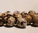 Quail egg