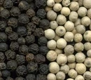 White pepper